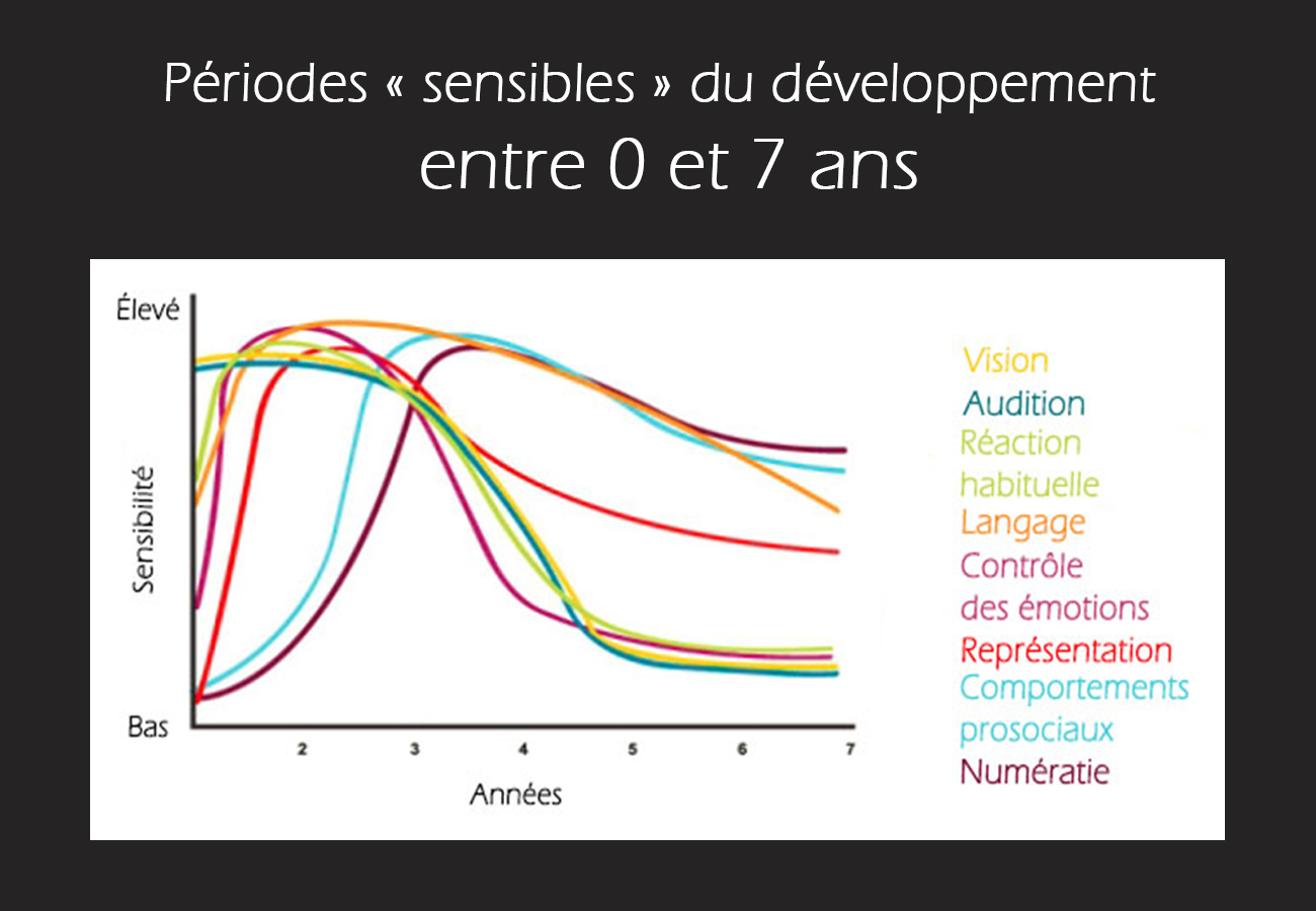 La petite enfance, une période charnière du développement