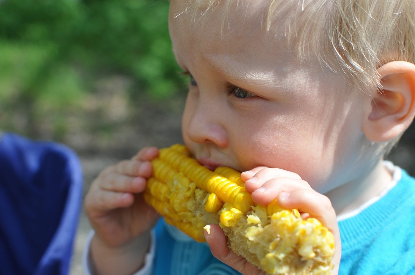 Quels aliments sains, locaux et responsables achetez-vous?